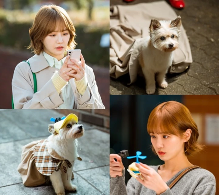 Style Park Gyu Young Versi Anjing di \'A Good Day to be A Dog\' Sungguh Cute Abis
