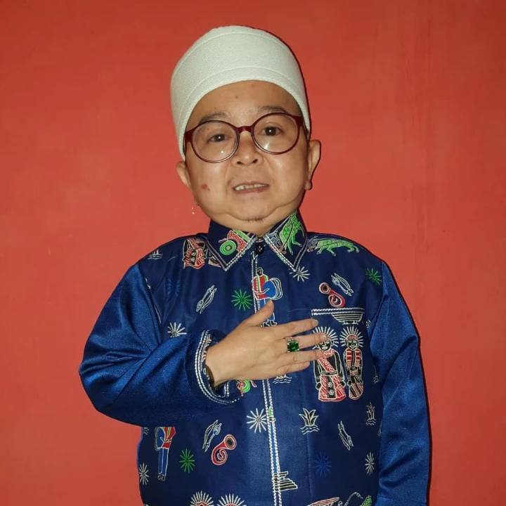 Daus Mini