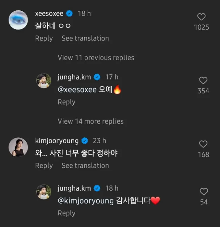 Han So Hee memberikan komentar di post Lee Jung Ha