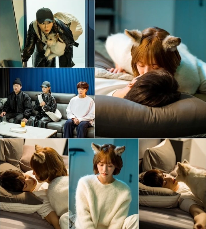 Park Gyu Young Niat Cium Cha Eunwoo yang Sedang Tidur di \'A Good Day to Be a Dog\'