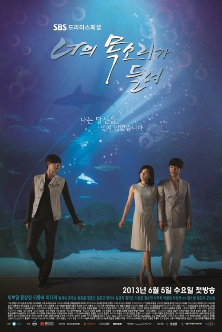 'I Can Hear Your Voice' (2013)