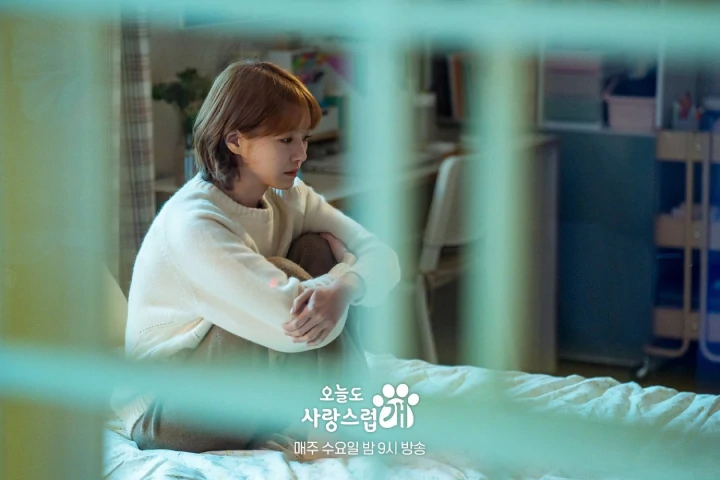 \'A Good Day to Be a Dog\' Episode 8 Recap: Cha Eunwoo Sukses Angkat Kutukan Park Gyu Young