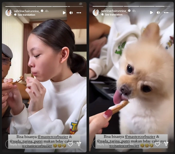 Aksi Deddy Corbuzier Makan Kue Ultah Anabul Bikin Sabrina Chairunnisa Geleng-Geleng Aksi Deddy Corbuzier Makan Kue Ultah Anabul Bikin Sabrina Chairunnisa Geleng-Geleng