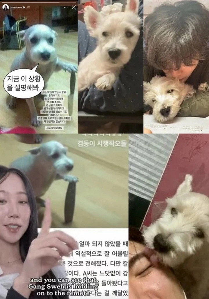 Anjing di Meme Han So Hee Jadi Viral