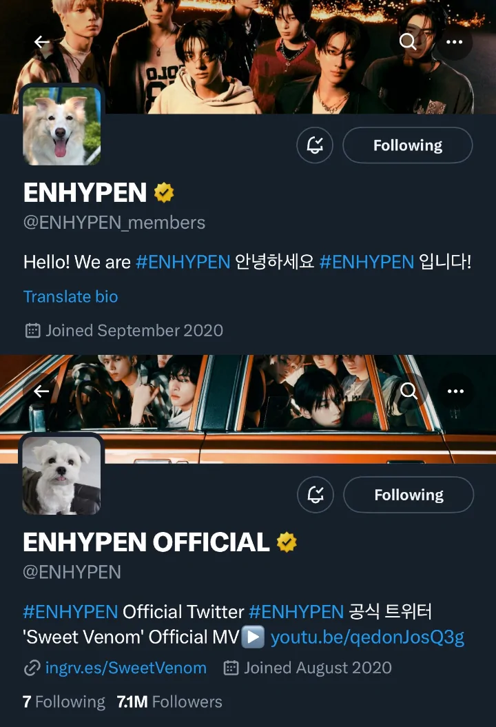 Akun Resmi ENHYPEN ‘Dibajak’ Anabul Kesayangan dalam Tradisi April Mop Grup