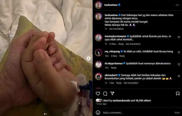 Ibu Teuku Wisnu Jatuh Sakit