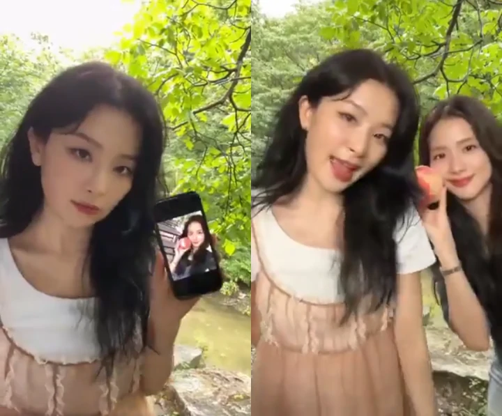 Jisoo BLACKPINK dan Seulgi Red Velvet Bikin Heboh Gegara Girlfriend Challenge