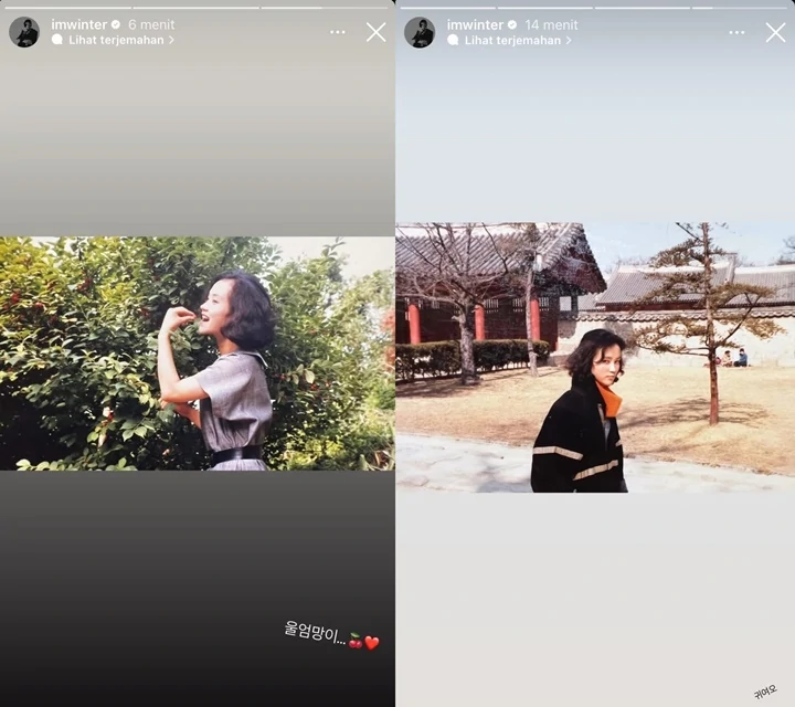 Winter aespa Ekspos Wajah Cantik Sang Ibu yang Plek-ketiplek Dirinya