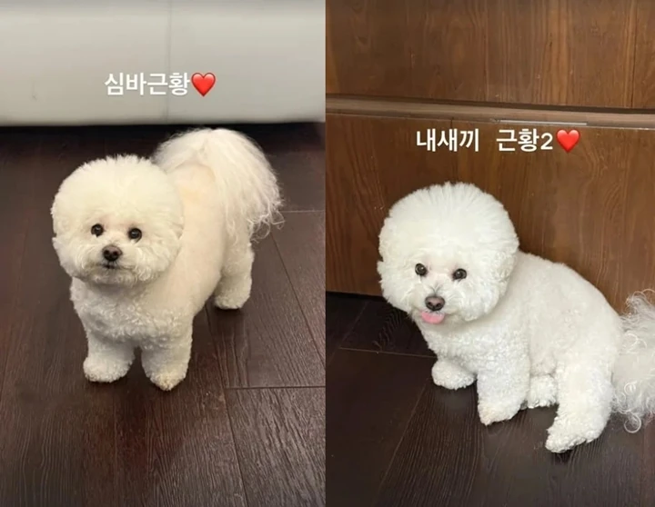 Postingan Park Seo Joon Curi Perhatian usai Dituduh Sindir Kim Soo Hyun