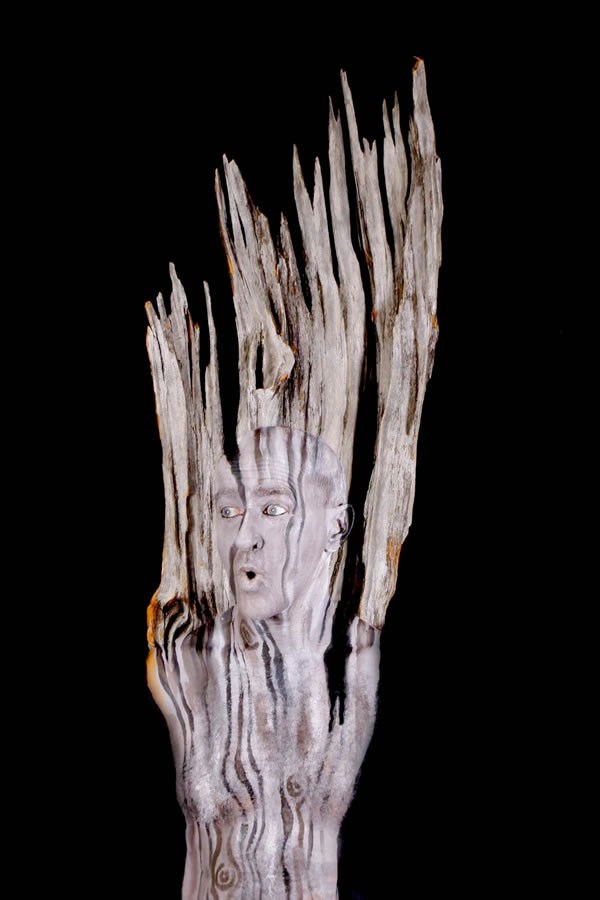 Gambar Foto Body Painting yang Mengubah Manusia Jadi Sebatang Pohon