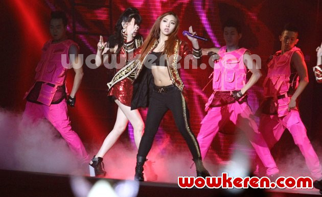 Gambar Foto Park Bom dan Minzy 2NE1 Saat Tampil di Konser 'All or Nothing' Jakarta