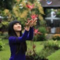 Felly salah satu personil Cherry Belle
