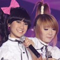 Cherry Belle