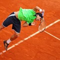 David Ferrer Mengembalikan Serangan Rafael Nadal di Final