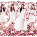 A Pink di Teaser Mini Album 'Secret Garden'