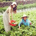 Yoona Girls' Generation di Iklan Kosmetik Innisfree