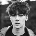 Sehun EXO di Teaser Album 'Exodus'