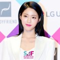 Seolhyun AOA di SBS Entertainment Awards 2016