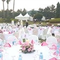 Venue Acara Workshop SM di Jeju Ini Bernuansa Warna Pink