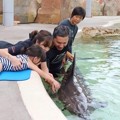 Gempita rupanya tertarik untuk menyentuh lumba-lumba.