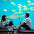 Bersama kedua orangtuanya, Gempita seakan tak jenuh memandangi beragam ikan yang berenang.