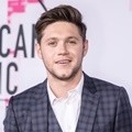 Niall Horan raih penghargaan New Artist of the Year