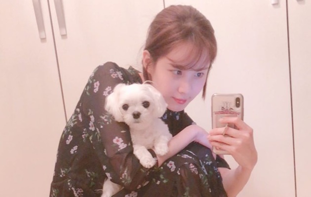 Pamer Sedang Menghias Makanan, Lucunya Seohyun 'Diserang' Member SNSD Lain