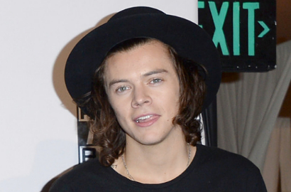 Harry Styles dan Niall Akui Pernah Lihat Member One Direction Telanjang