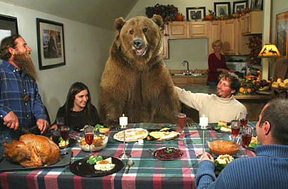 Persahabatan Manusia dengan Brutus Beruang Grizzly 360 Kg