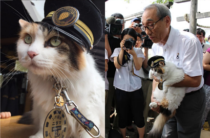 Yuk Kenalan Sama Nitama, Kucing Kepala Stasiun Jepang Pengganti si Tama
