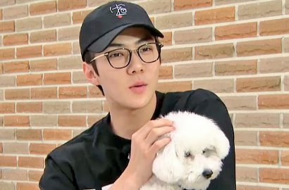 Biasa Bandel, Gantian Sehun EXO Dikerjai Anjingnya Saat Siaran V App