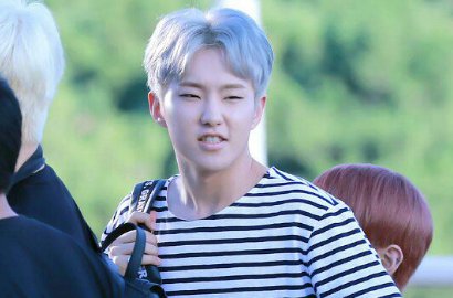 Lucunya Hoshi Seventeen Nyanyi Lagu Anak Korea Pakai Bahasa Indonesia