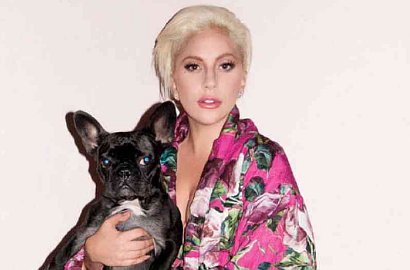 Sama-Sama Punya Kekasih, Lady Gaga Kepergok Jalan Bareng Bradley Cooper