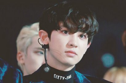 Mulai Harimau Sampai Ikan Hiu, Fans Adopsi 10 Hewan Ini Untuk Ultah Chanyeol