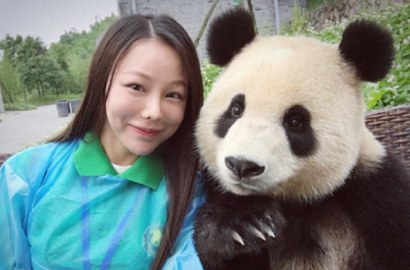 Fotogenik, Intip Aksi Imut Panda yang Jago Selfie Bareng Turis