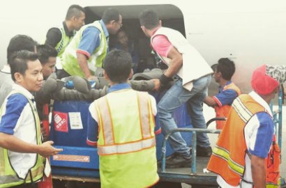 Sriwijaya Air Klarifikasi Protes Pengangkutan Lumba-Lumba dengan Pesawat