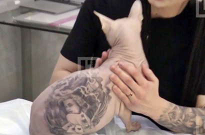 Kejam, Pria Ini Tuai Kontroversi Usai Tega Tato Badan Kucing Sphynx