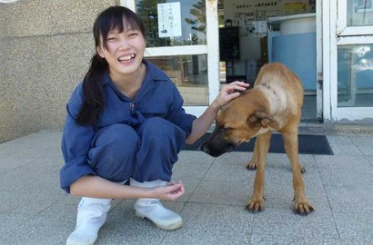 Kisah Tragis Dokter Cantik Ubah Pandangan Pemerintah Soal Kebijakan Anjing