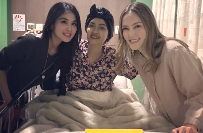 Jupe Akan Dibawa ke Jepang Karena Tak Sembuh di Indonesia