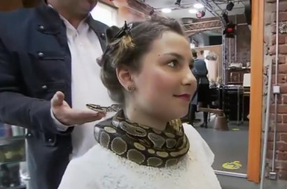 Ngeri Tapi Lucu, Salon Ini Miliki Pijat Leher dengan Ular Piton