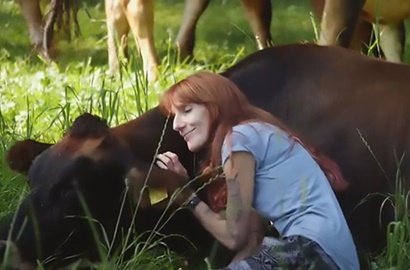 Peluk Sapi Jadi Tren Hilangkan Stres di Belanda, Tertarik Mencoba?