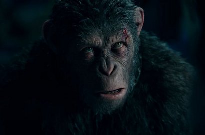 Makin Beringas, Pasukan Kera Siap Perangi Manusia di 'War for the Planet of the Apes'