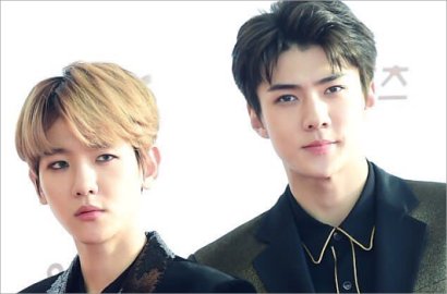 Sedang Tren di SM, Inikah Bukti Comeback EXO Juga Bakal Usung Konsep Buah?