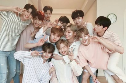 Dituding Jiplak Milik Seventeen, Agensi Jelaskan Warna Fandom Wanna One