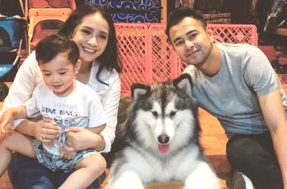 Diprotes Soal Rencana Piara Anjing, Nagita Punya Kucing Seharga Puluhan Juta Rupiah?