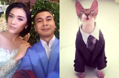 Gara-Gara Kucing, Raditya Dika dan Annisa Tunda Pre-Wedding