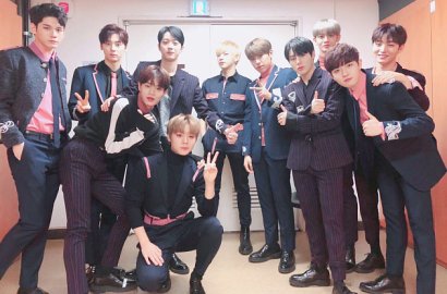 Begini Nasib 7 Fansite Wanna One yang Ditahan di Malaysia Karena Jualan