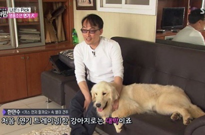 Bintangi 'Should We Kiss First', Total Bayaran Anjing Lucu Ini Bikin Takjub