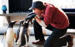 Trailer: Jim Carrey Belajar Menari Bareng Pinguin di 'Mr. Popper's Penguins'