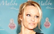Demi Selamatkan Anjing Laut, Pamela Anderson Dan PETA Kirim Surat Ke China